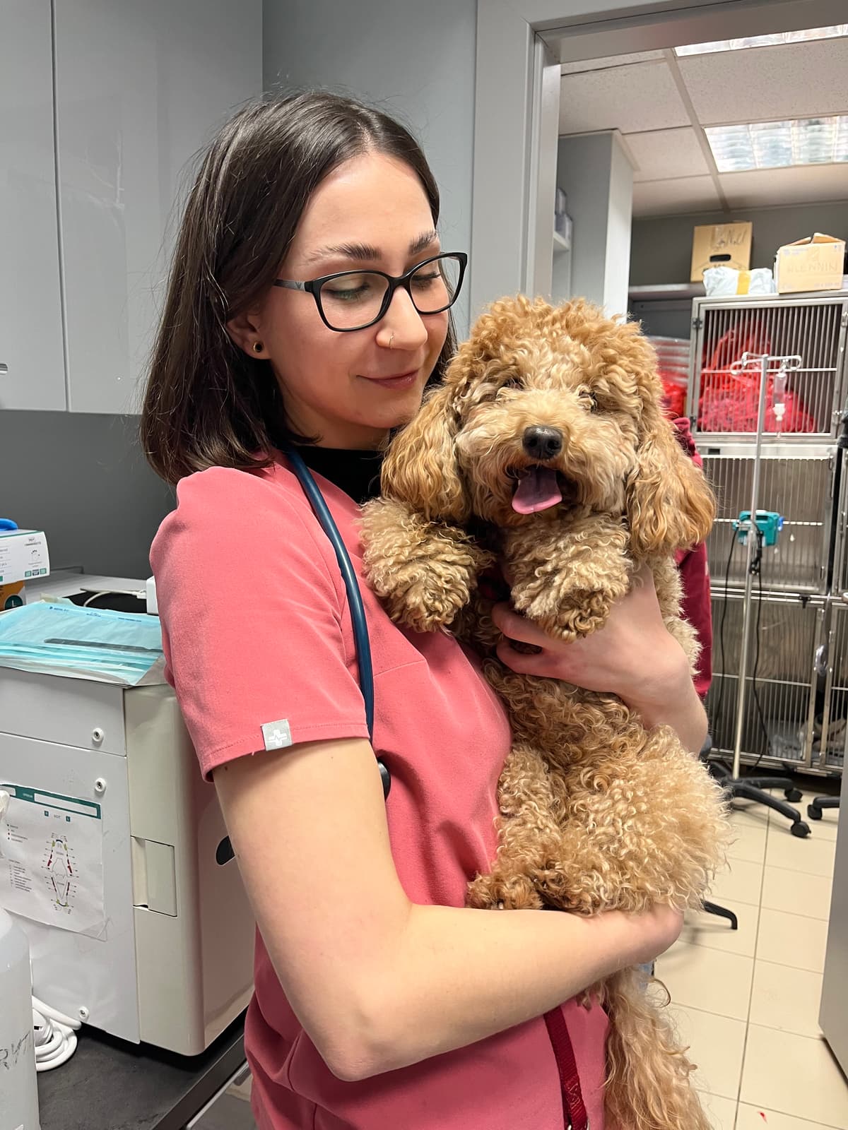 lek. weterynarii Aleksandra Popardowska