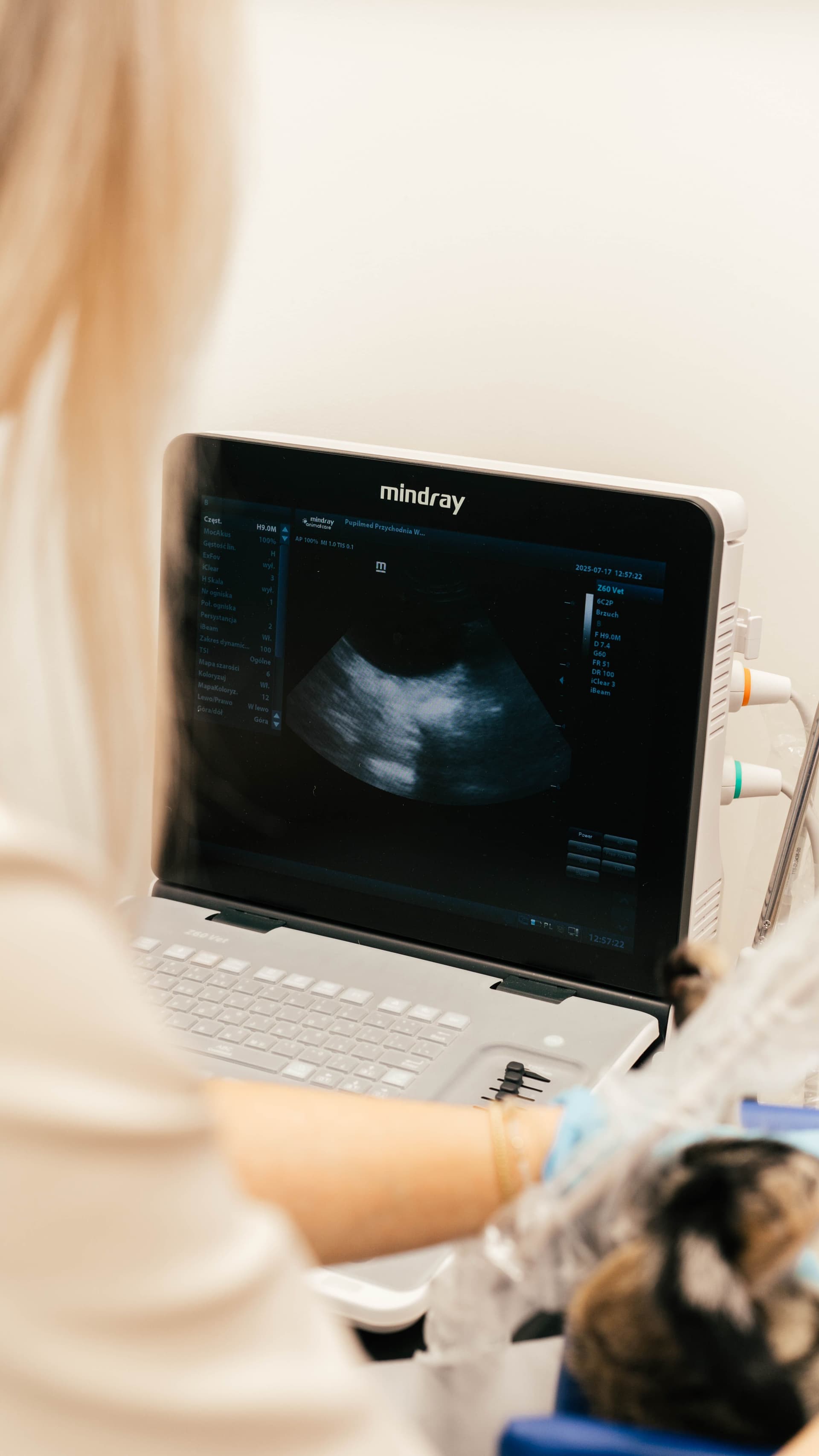 USG-klatka-piersiowa-kot-pies-pupilmed-warszawa