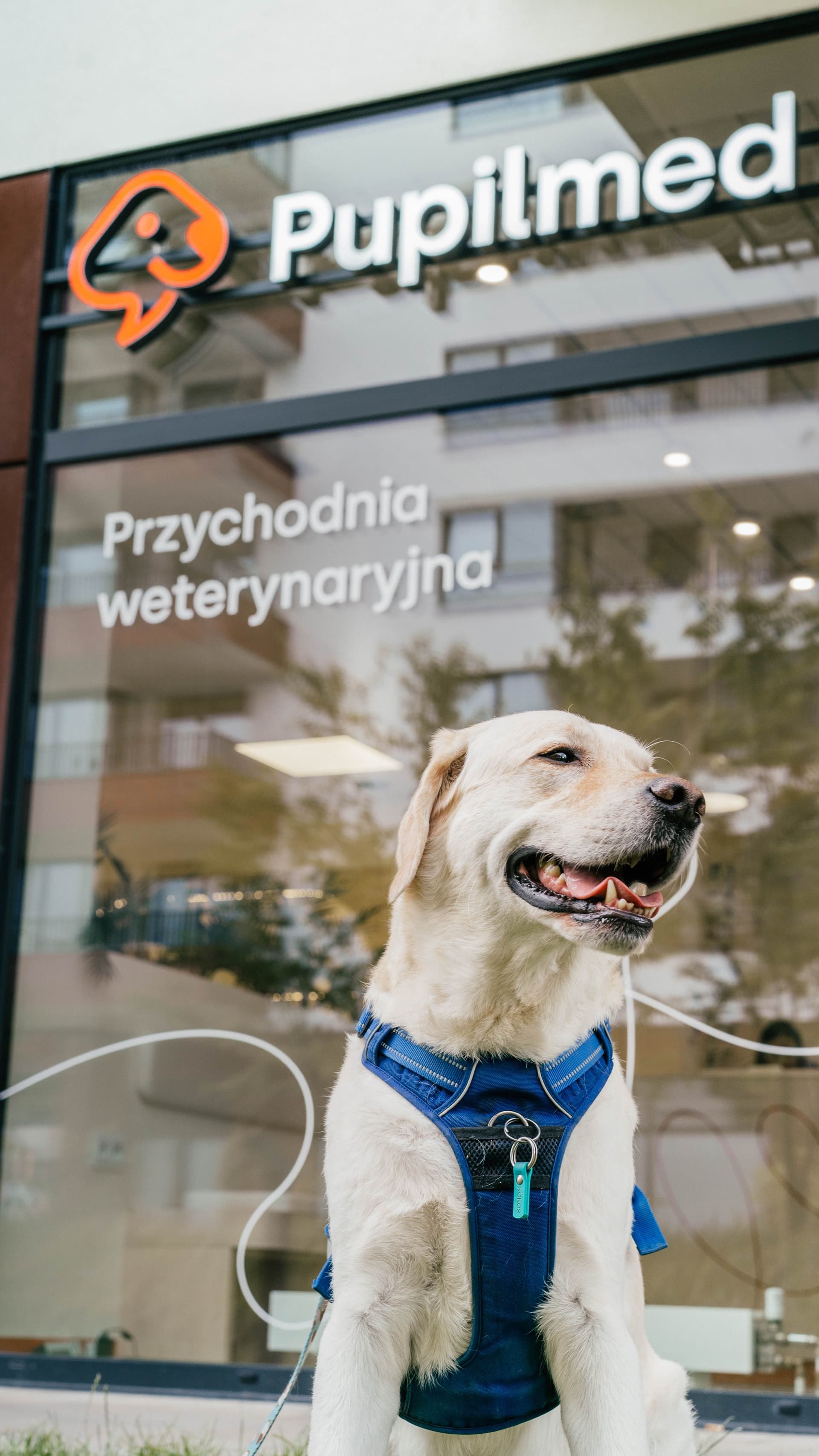 Dlaczego warto wykonać badanie obrazowe w Pupilmed?