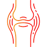 bones.png