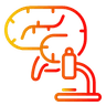 brain.png