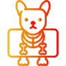 x-ray.png